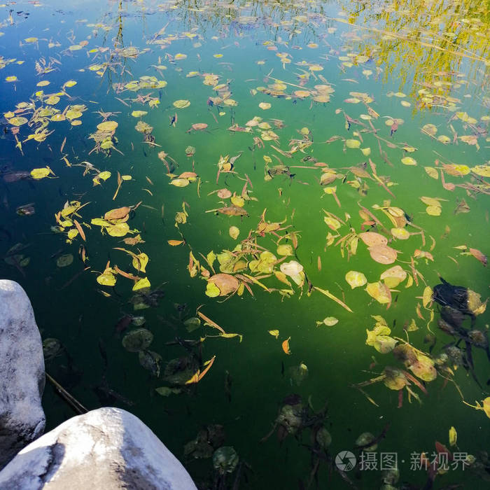不干净的池子照片-正版商用图片2l297t-摄图新视界