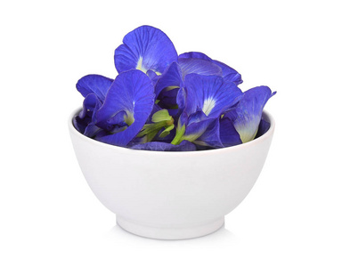 蓝翅蝴蝶蝴蝶豆,蓝豌豆,或亚洲鸽翅花照片