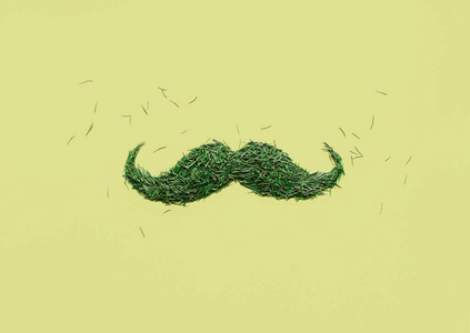 绿色的冷杉针叶上的绿色胡子图片