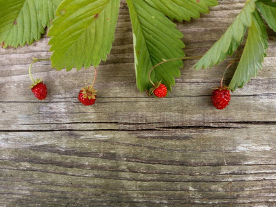 木质背景上的林业草莓图片