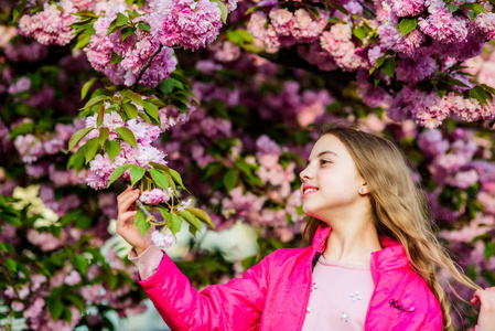 女孩樱花背景.春假快乐照片