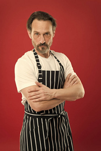 老主人.留着胡子的成熟男人,穿着条纹围裙.穿着围裙的高级厨师.