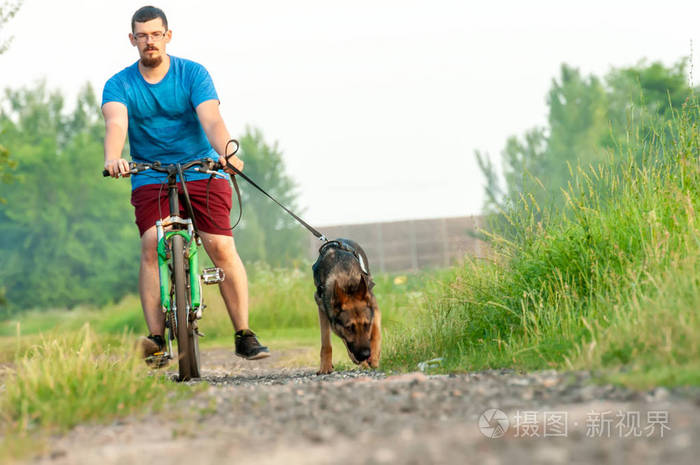 在训练一只德国牧羊犬时看到一只狗和一个骑自行车的人