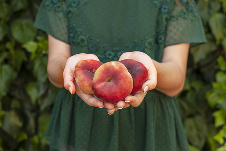 桃李.中国人,飞机桃子.品种:galaxy,regalcake aitona水果照片