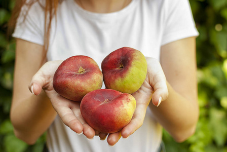 孤独的年轻女子手里拿着一些红色的飞机桃子.桃李.中国人,飞机桃子.