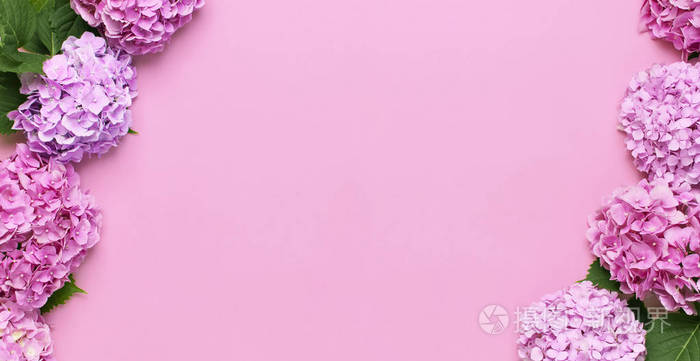 粉红色绣球花与绿色叶子相框在粉红色背景上俯视平铺复制空间鲜花卡片