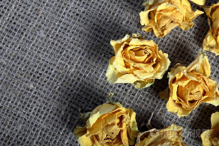 黄色玫瑰的干花堆放在粗糙的亚麻布上