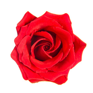 白色背景上孤立的圣诞节装饰品