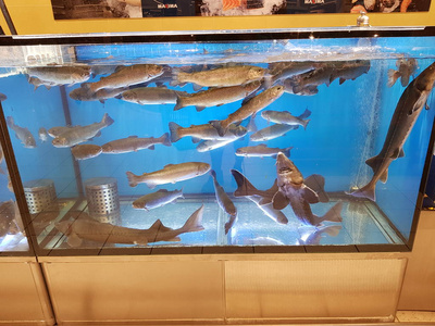 超市里的鱼缸图片
