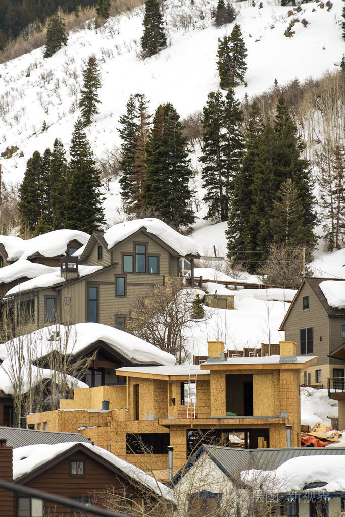冬天积雪的山上的房屋和针叶树