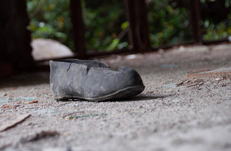 冬天的一棵世俗树,浸在一个废弃的地方,到处是废墟,战后还有轰炸的