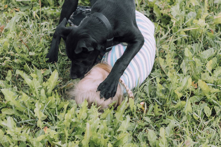 白头发的动物图片