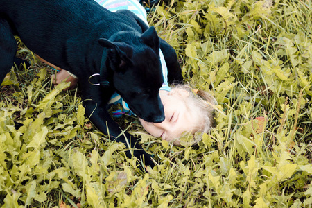 白头发的动物一只深色的狗袭击了一个白头发的小女孩.咬宝宝.照片