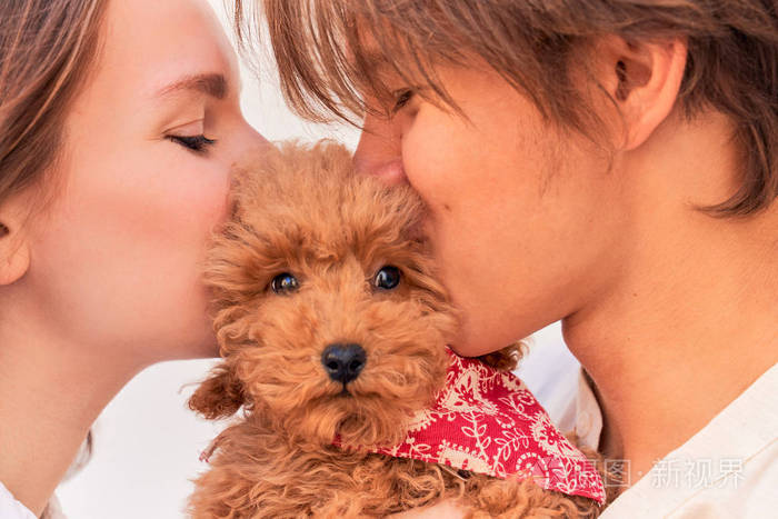 年轻的女孩和男孩抱着卷曲可爱的小狗,亲吻并拥抱他.