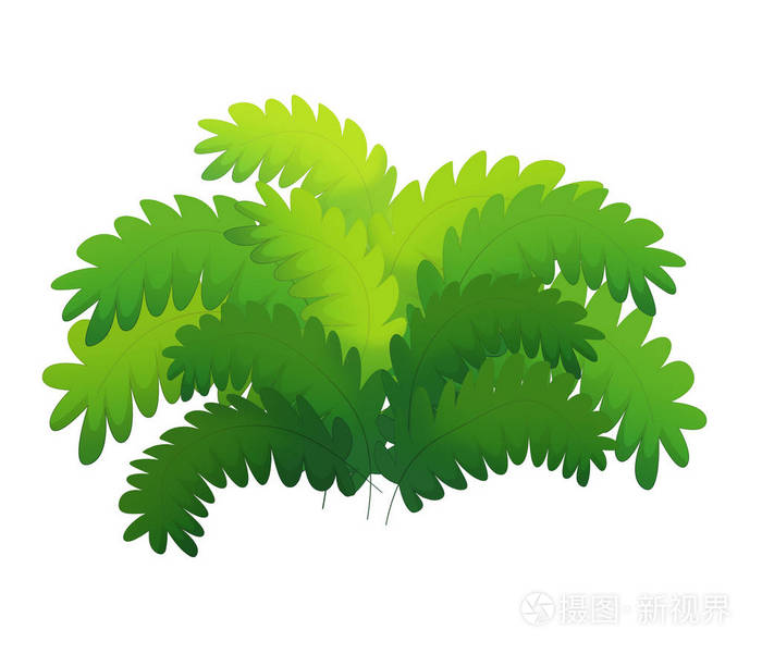 卡通自然元素布什蕨白色背景儿童插图