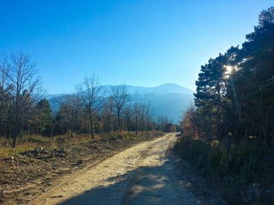 以蒙卡约山为背景的林间小路图片