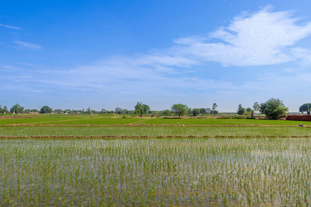 山水田图片-山水田素材-山水田插画-摄图新视界