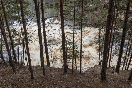 森林背景下狂风暴雨的山河照片