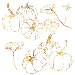 万圣节南瓜叶上图片