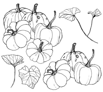 丰收节树叶图片