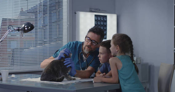 兽医向猫主人解释图片