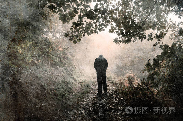 一个戴着兜帽的人影在迷雾缭绕的林地小路上远离摄像机