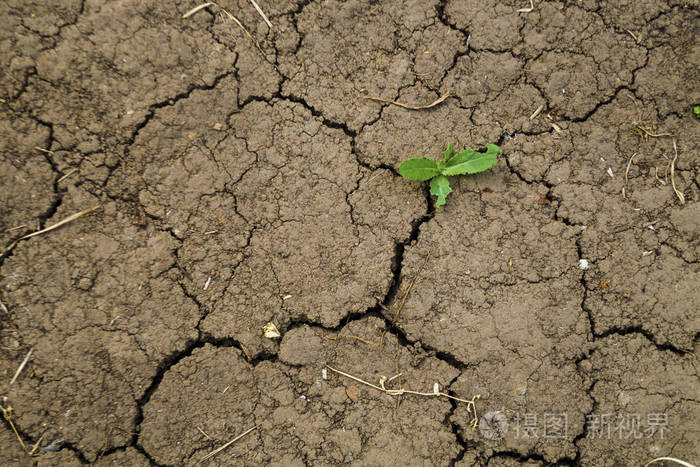 土壤缺乏水分,干旱.脱水土地的概念.