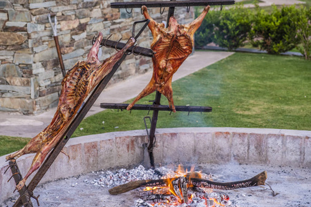 在十字架上用小火烤的全羊肉.阿根廷巴塔哥尼亚照片