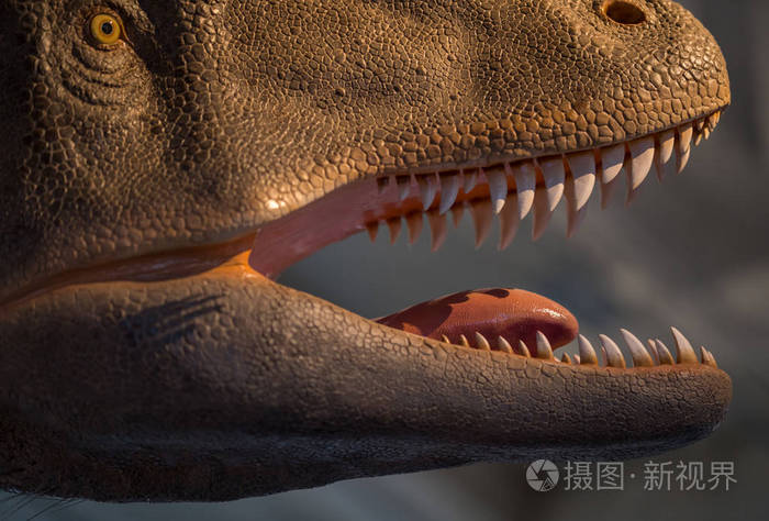 霸王龙的牙齿锋利随时可以猎杀