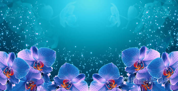 发光的梦幻横幅上有魔法和神秘的霓虹兰花照片 正版商用图片2lnuxa 摄图新视界 发光的梦幻横幅上有魔法和神秘的霓虹兰花照片 正版商用图片2lnuxa 摄图新视界
