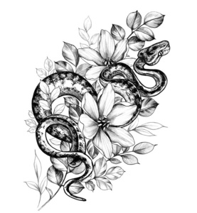 大花蛇纹身图片-大花蛇纹身素材-大花蛇纹身插画-摄图新视界