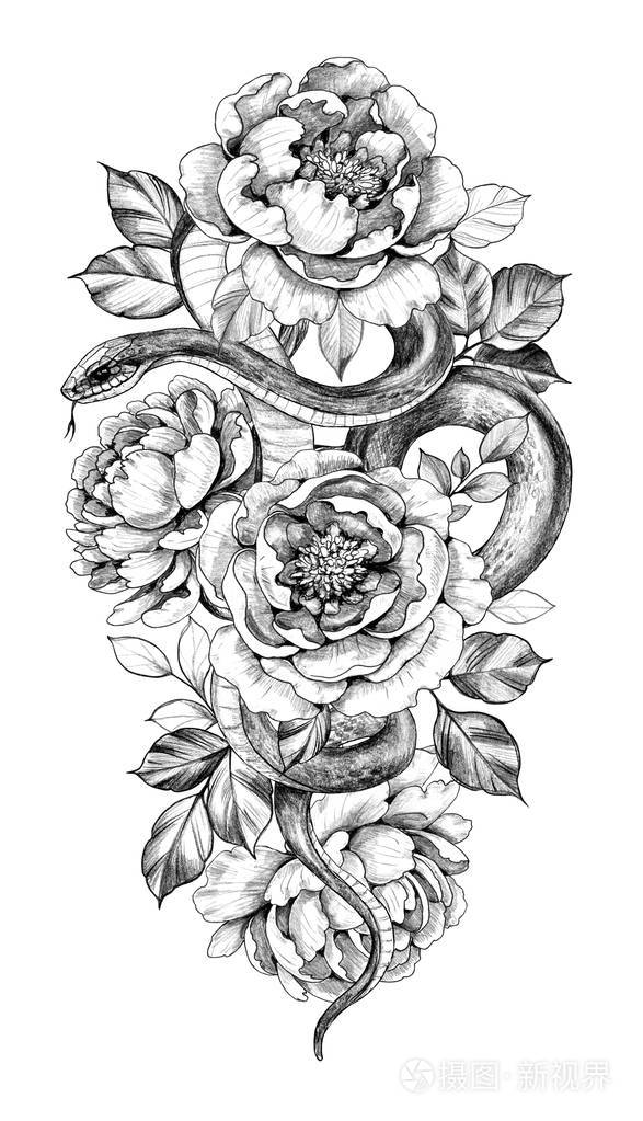 手绘单色蛇牡丹花