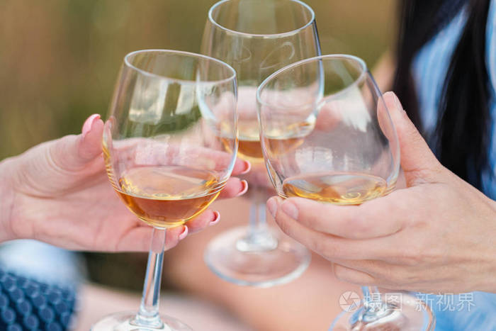 三个女人手拿着一杯白葡萄酒干杯祝贺你有一次户外野餐放松和陪伴的