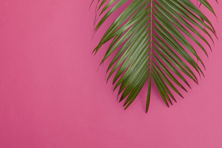 粉色纹理树叶图片