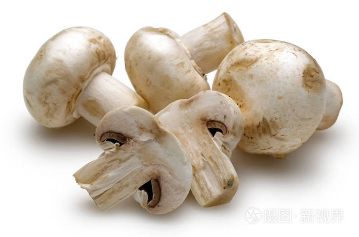 白蘑菇