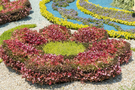 有一个新修剪的草坪和盛开的花坛