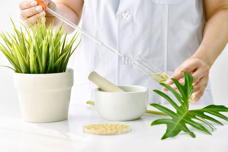 医生从有机天然植物中调配新的美容产品,药剂师在试管中混合纯萃取