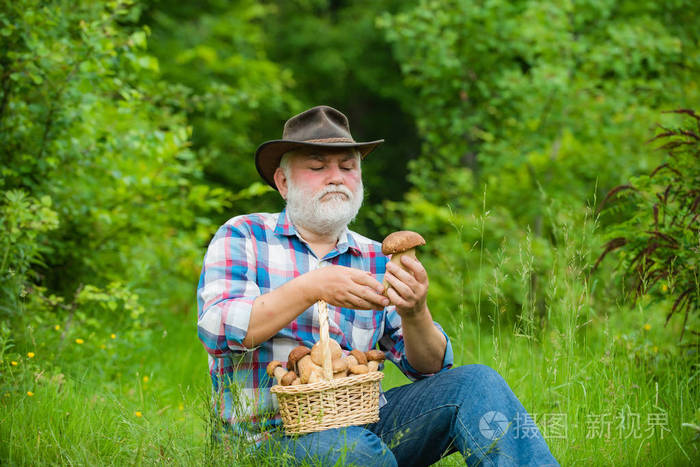 快乐的爷爷和蘑菇在大街小巷狩猎蘑菇领养老金的人拿着一篮子蘑菇脸上