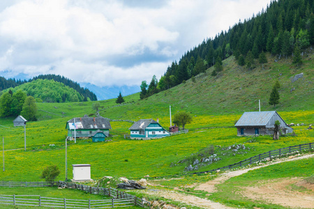 夏季青山景观与古民居建筑图片