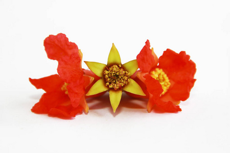 石榴花手绘素材图片 石榴花手绘图片素材下载 摄图新视界