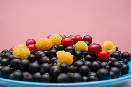 andancientsocietyofpolarbears皇家和古代北极熊学会在金属盘子上