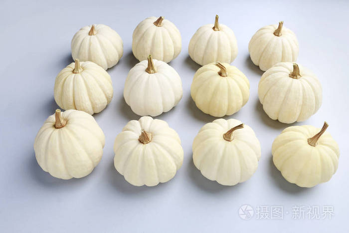 浅蓝色背景的白色南瓜