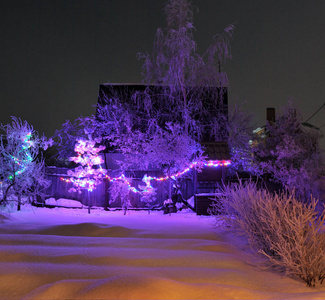 除夕夜的西伯利亚村庄图片