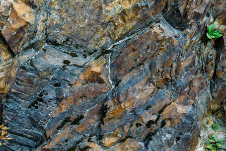 泥质岩石图片