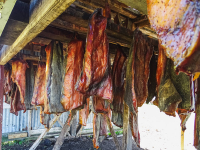 格陵兰鲨鱼冰岛的特产叫哈卡尔发酵鲨照片