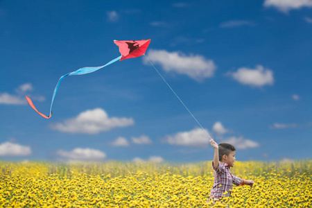 亚洲孩子在黄花地放风筝照片