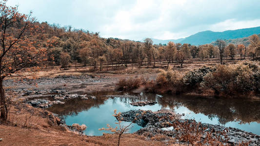 小水体自然景观图片