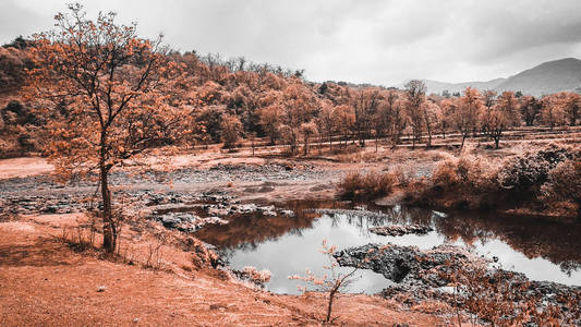 小水体自然景观图片