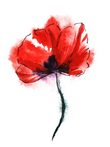 彩色的红色罂粟花在白色背景上的黑色茎上.水彩手绘纸纹理画.