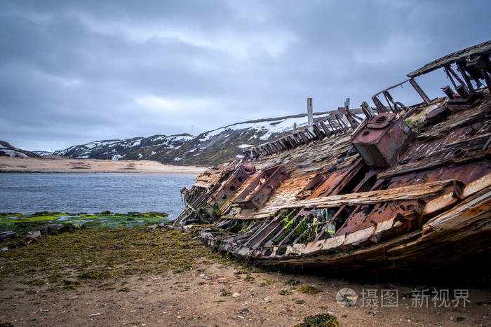 泰里伯克岛上那条生锈的烂船俄罗斯北部